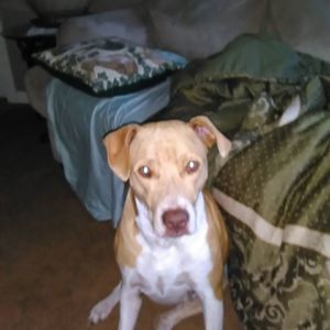 Meet your Posher, Annette